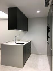Cairnhill Nine (D9), Apartment #361001621
